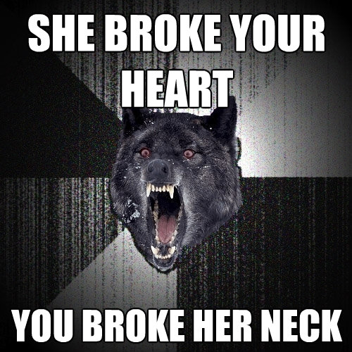 she broke your heart you broke her neck - Insanity Wolf