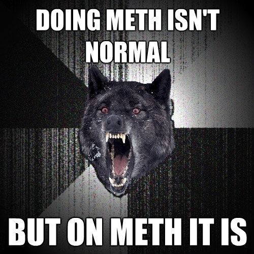 doing meth isnt normal but on meth it is - Insanity Wolf