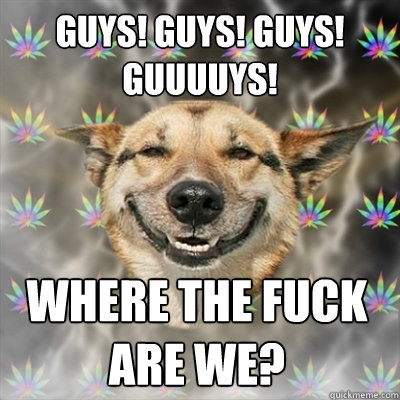 guys guys guys guuuuys where the fuck are we - Stoner Dog