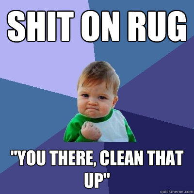 shit on rug you there clean that up - Success Kid