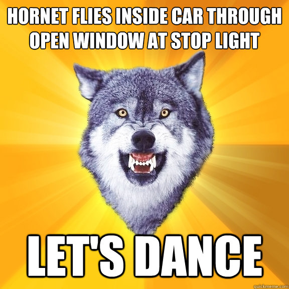 hornet flies inside car through open window at stop light le - Courage Wolf