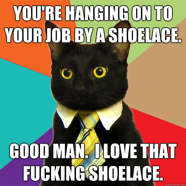 youre hanging on to your job by a shoelace good man i lo - Business Cat