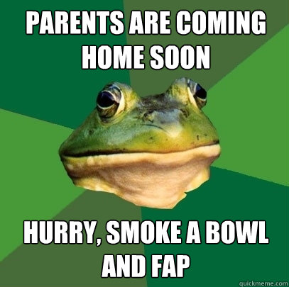 parents are coming home soon hurry smoke a bowl and fap - Foul Bachelor Frog