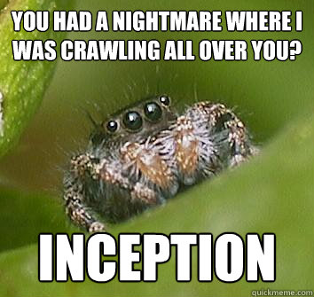 you had a nightmare where i was crawling all over you incep - Misunderstood Spider