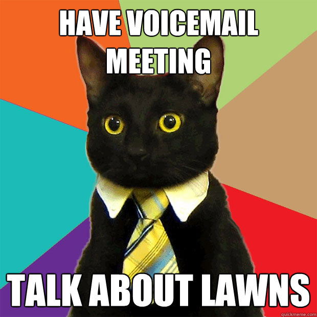 have voicemail meeting talk about lawns - Business Cat
