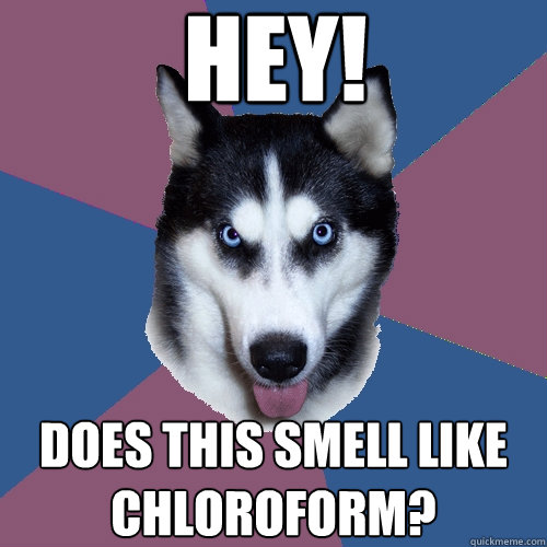 hey does this smell like chloroform - Creeper Canine