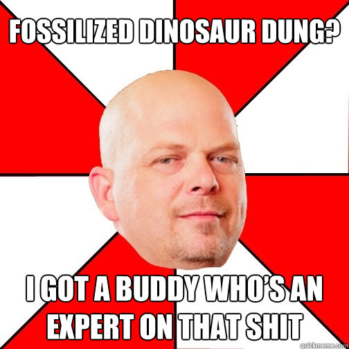 fossilized dinosaur dung i got a buddy whos an expert on t - Pawn Star