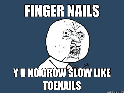 finger nails y u no grow slow like toenails - Y U No