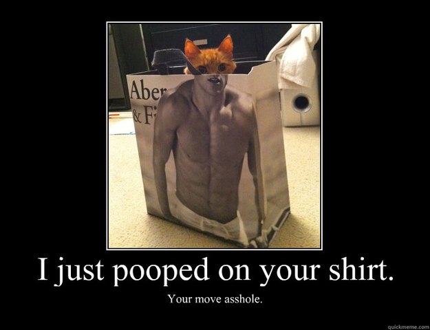 i just pooped on your shirt your move asshole - LOLCat