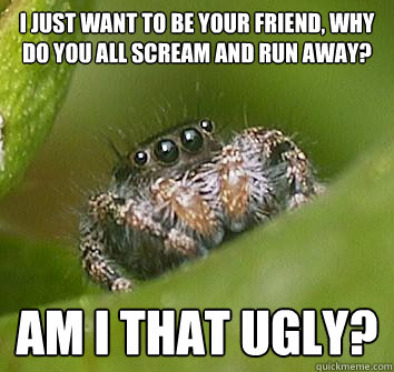 i just want to be your friend why do you all scream and run - Misunderstood Spider