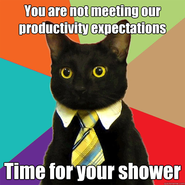 you are not meeting our productivity expectations time for y - Business Cat