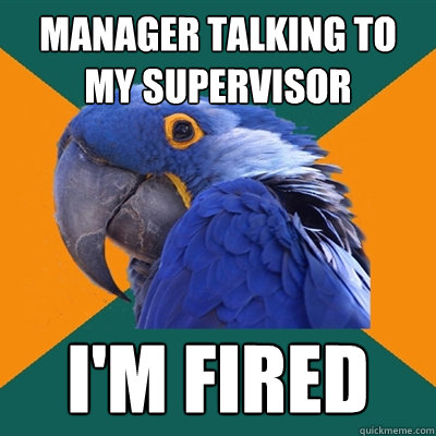 manager talking to my supervisor im fired - Paranoid Parrot