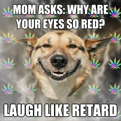 mom asks why are your eyes so red laugh like retard - Stoner Dog