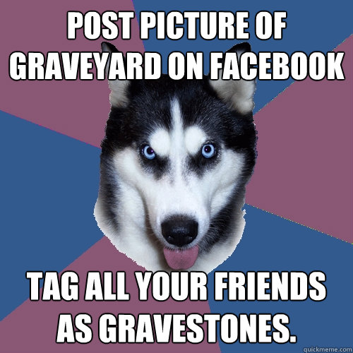 post picture of graveyard on facebook tag all your friends a - Creeper Canine