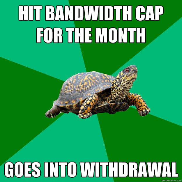 hit bandwidth cap for the month goes into withdrawal - Torrenting Turtle