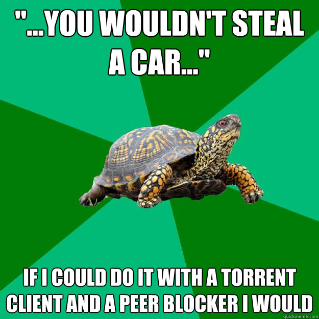 you wouldnt steal a car if i could do it with a tor - Torrenting Turtle