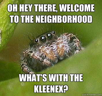oh hey there welcome to the neighborhood whats with the kl - Misunderstood Spider