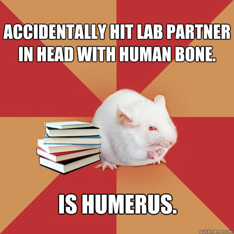 accidentally hit lab partner in head with human bone is hum - Science Major Mouse