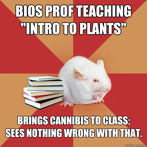 bios prof teaching intro to plants brings cannibis to clas - Science Major Mouse