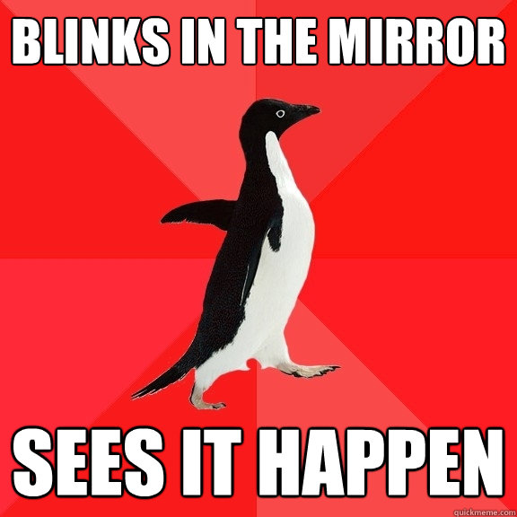 blinks in the mirror sees it happen - Socially Awesome Penguin