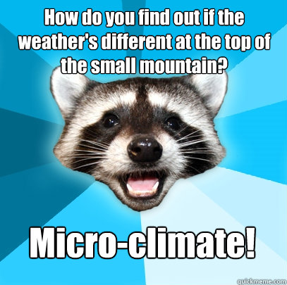 how do you find out if the weathers different at the top of - Lame Pun Coon