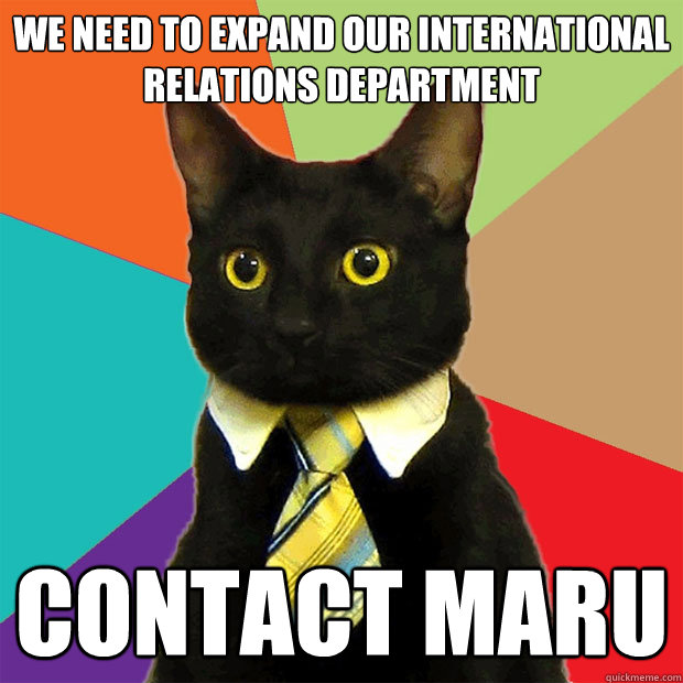 we need to expand our international relations department con - Business Cat
