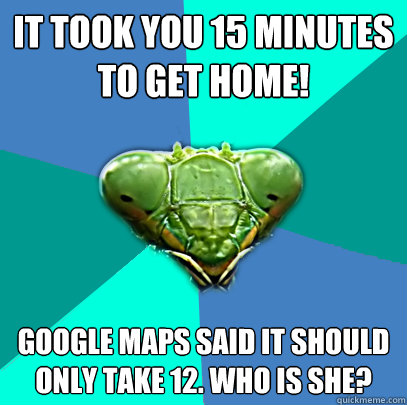 it took you 15 minutes to get home google maps said it shou - Crazy Girlfriend Praying Mantis