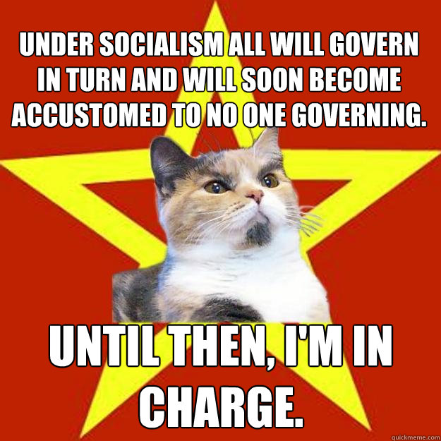 under socialism all will govern in turn and will soon become - Lenin Cat