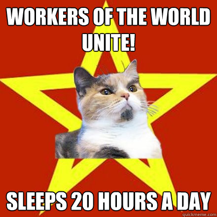 workers of the world unite sleeps 20 hours a day - Lenin Cat