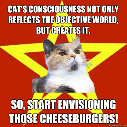 cats consciousness not only reflects the objective world b - Lenin Cat