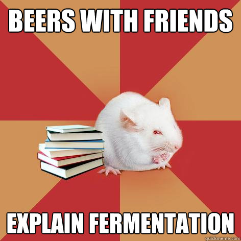 beers with friends explain fermentation - Science Major Mouse
