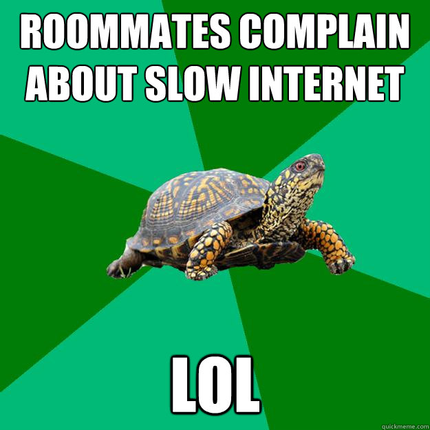 roommates complain about slow internet lol - Torrenting Turtle