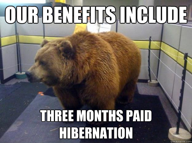 our benefits include three months paid hibernation - Office Grizzly