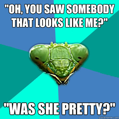 oh you saw somebody that looks like me was she pretty - Crazy Girlfriend Praying Mantis