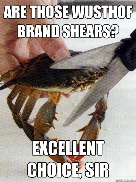 are those wusthof brand shears excellent choice sir - Optimistic Crab