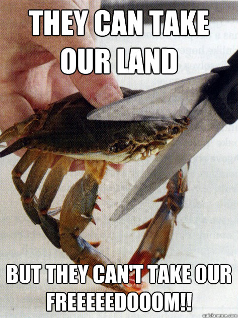 they can take our land but they cant take our - Optimistic Crab