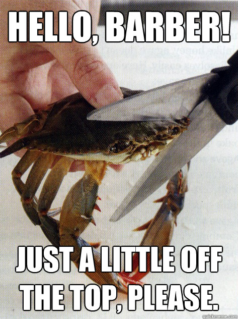 hello barber just a little off the top please - Optimistic Crab
