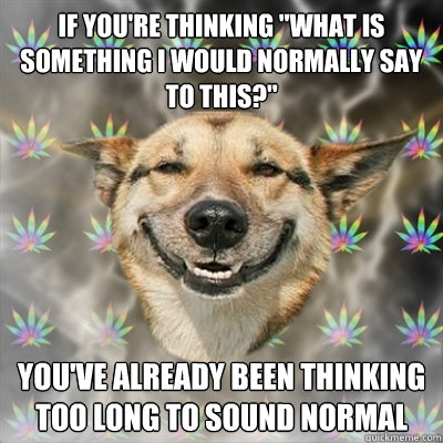if youre thinking what is something i would normally say t - Stoner Dog