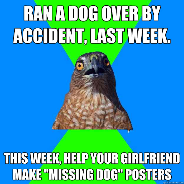 ran a dog over by accident last week this week help your - Hawkward