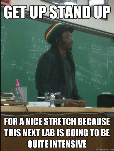 get up stand up for a nice stretch because this next lab is - Rasta Science Teacher
