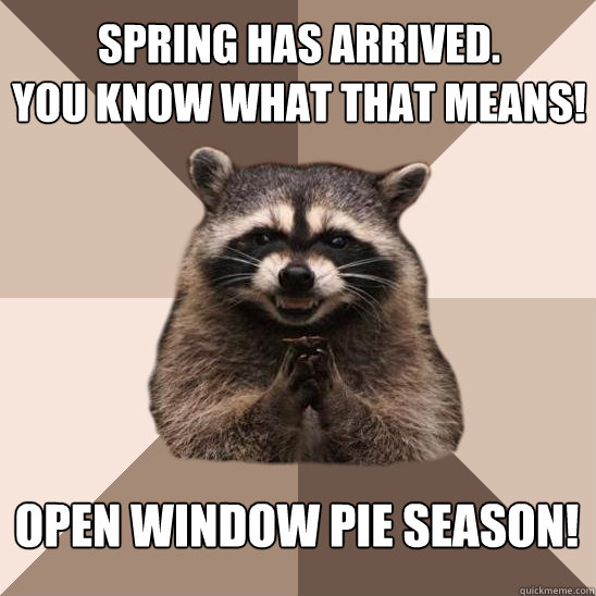 spring has arrived you know what that means open window pi - Evil Plotting Raccoon