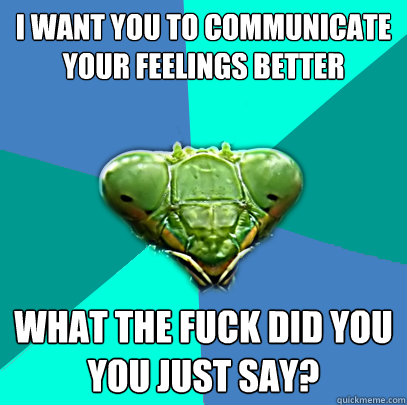i want you to communicate your feelings better what the fuck - Crazy Girlfriend Praying Mantis