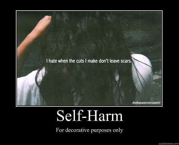 selfharm for decorative purposes only Motivational Poster