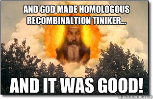 and god made homologous recombinaltion tiniker and it was - God in Clouds