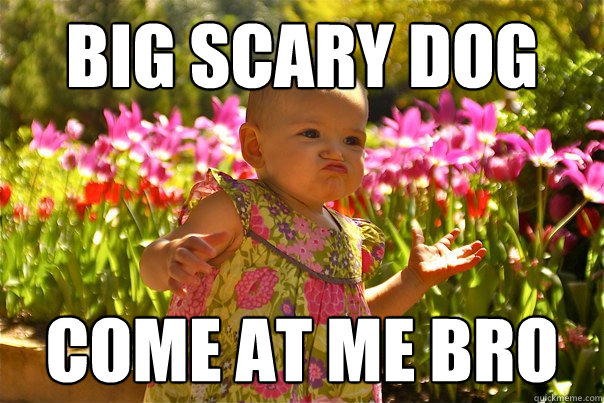 big scary dog come at me bro - UNTITLED