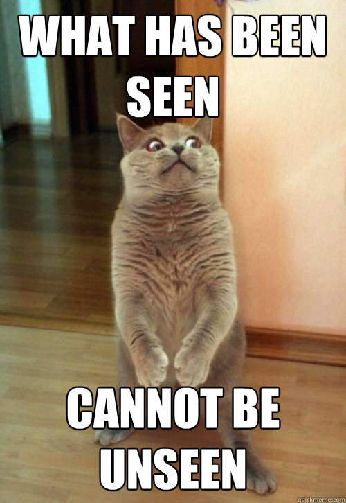 what has been seen cannot be unseen - Horrorcat