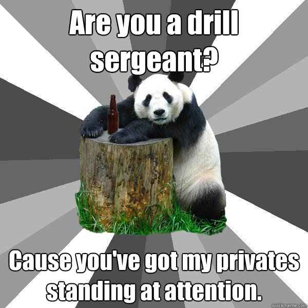 are you a drill sergeant cause youve got my privates stand - Pickup-Line Panda