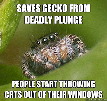saves gecko from deadly plunge people start throwing crts ou - Misunderstood Spider