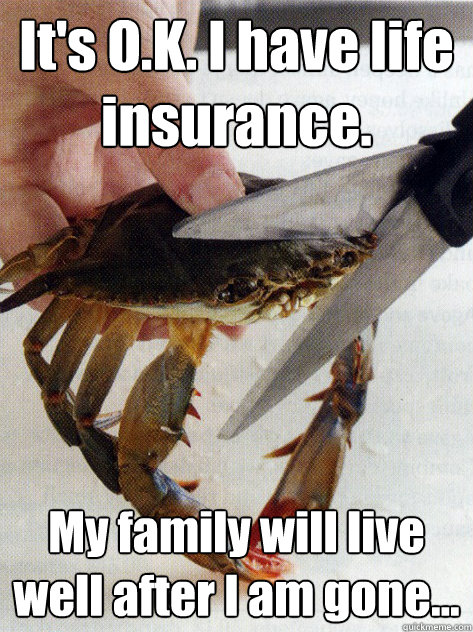 its ok i have life insurance my family will live well af - Optimistic Crab