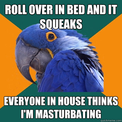 roll over in bed and it squeaks everyone in house thinks i - Paranoid Parrot